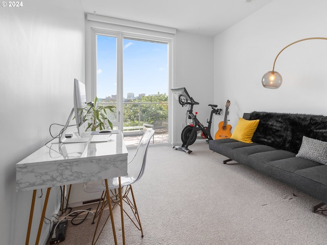 exercise room with carpet