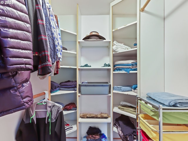 view of walk in closet