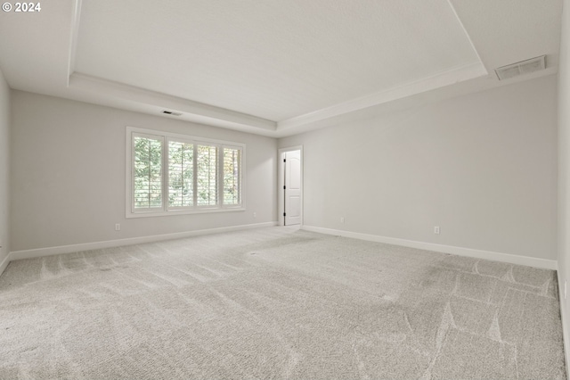 carpeted empty room with a raised ceiling