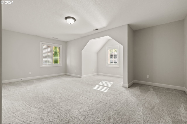 additional living space with light carpet and a textured ceiling