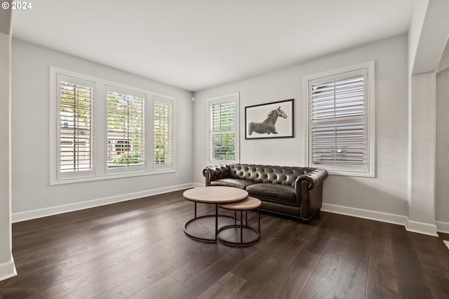 sitting room with dark wood-type flooring