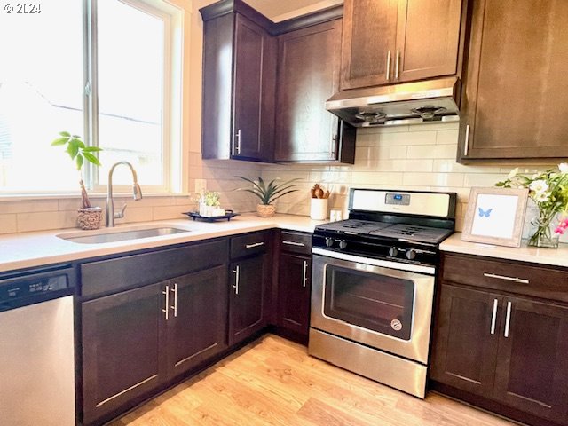 kitchen with dark brown cabinets, backsplash, appliances with stainless steel finishes, light hardwood / wood-style floors, and sink