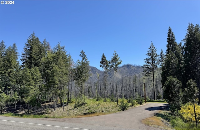 Listing photo 2 for Mckenzie Hwy Unit 900, Vida OR 97488