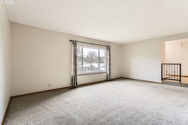 spare room featuring carpet floors