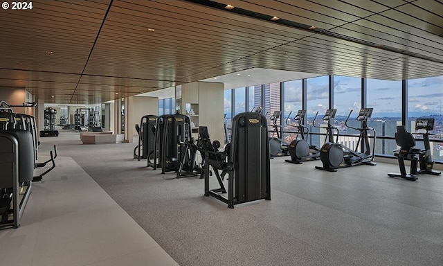 workout area featuring expansive windows