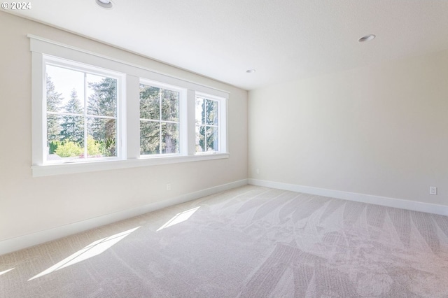 empty room with light carpet and plenty of natural light