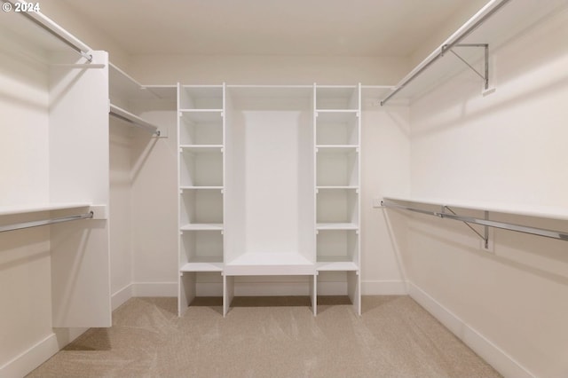 spacious closet featuring light carpet