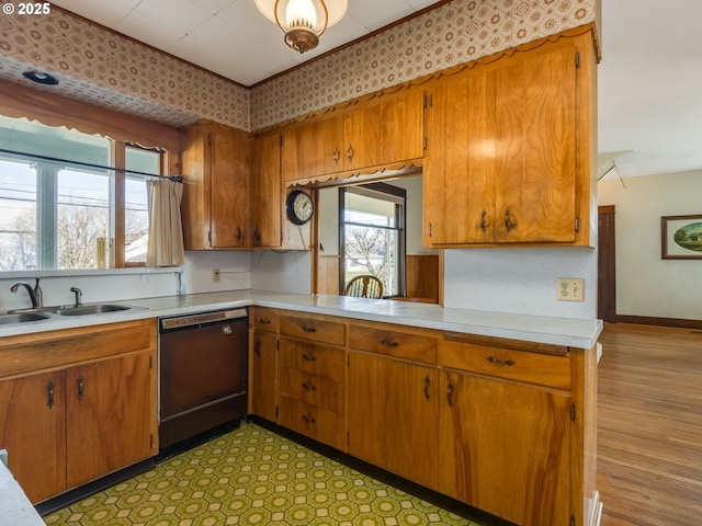 kitchen featuring sink and dishwasher