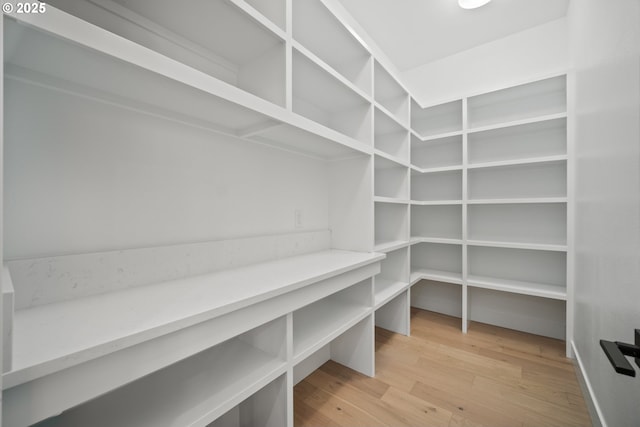 1669 NW Goodwin St, Camas, WA 98607 - view of pantry