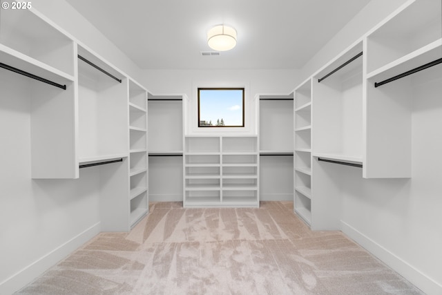 1669 NW Goodwin St, Camas, WA 98607 - spacious closet featuring carpet