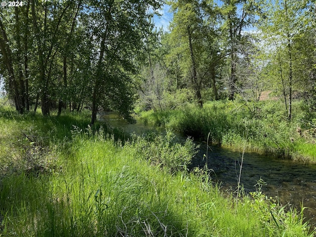 view of nature with a view of trees