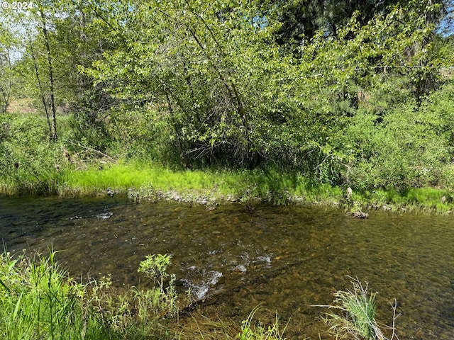 view of local wilderness featuring a view of trees