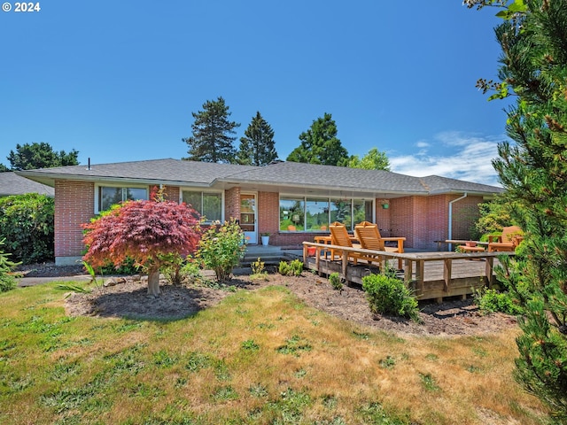 back of house featuring a lawn