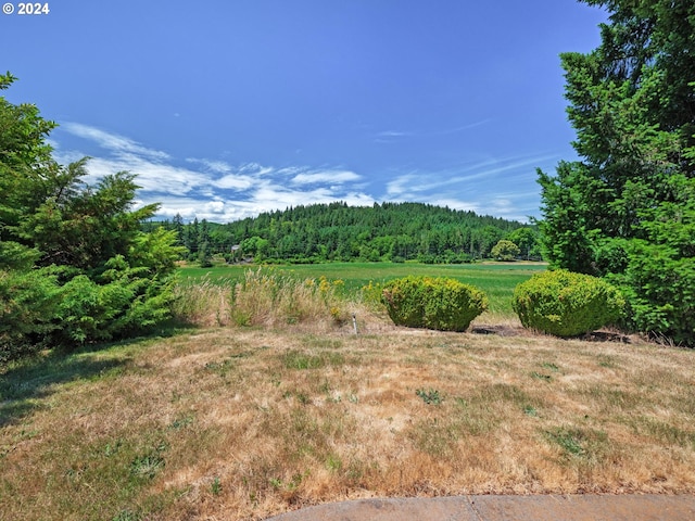 view of nature featuring a rural view