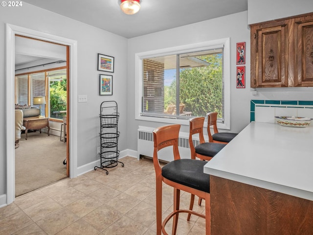 carpeted dining area with radiator