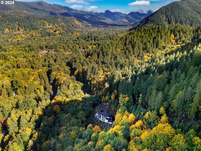 property view of mountains