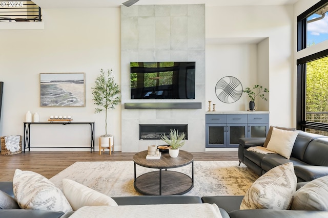 living room featuring a fireplace and hardwood / wood-style flooring