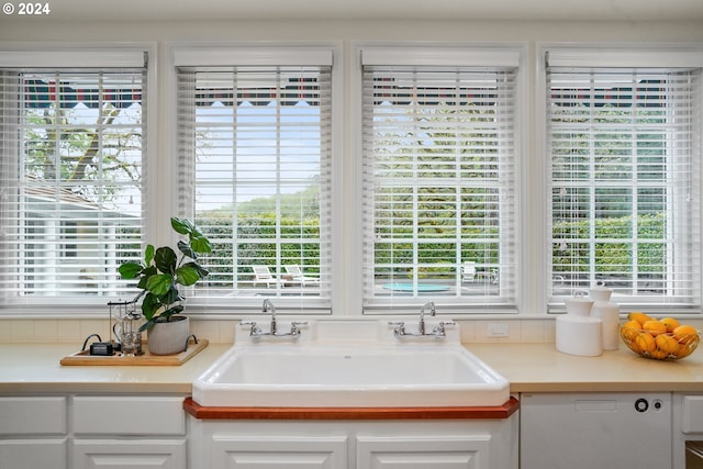 interior details with white cabinets and sink