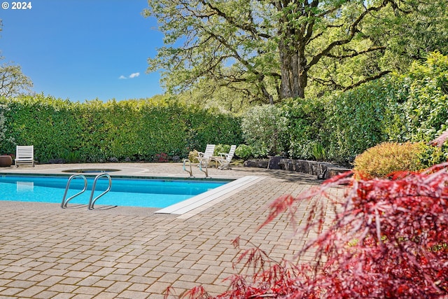 view of pool with a patio area