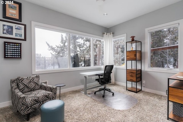 3425 NW Fairway Heights Dr, Bend, OR 97703 - office space with carpet flooring and baseboards