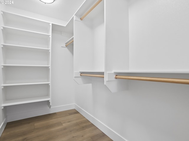 spacious closet with dark wood-type flooring