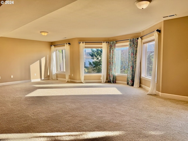 empty room with a healthy amount of sunlight and carpet flooring