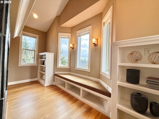 mudroom featuring a wealth of natural light and light hardwood / wood-style flooring