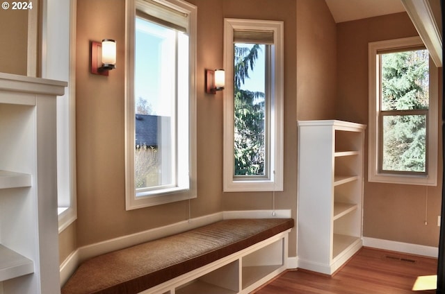 mudroom featuring plenty of natural light and light hardwood / wood-style floors