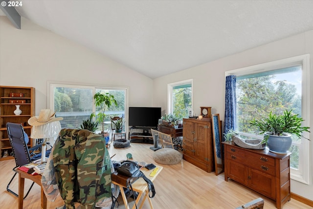 living room featuring light hardwood / wood-style floors and vaulted ceiling