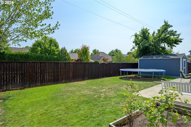 view of yard with a patio area, a shed, and a trampoline