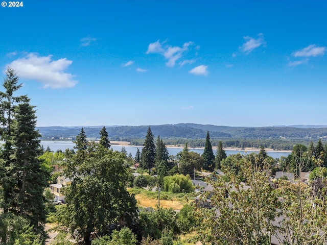 property view of mountains featuring a forest view and a water view