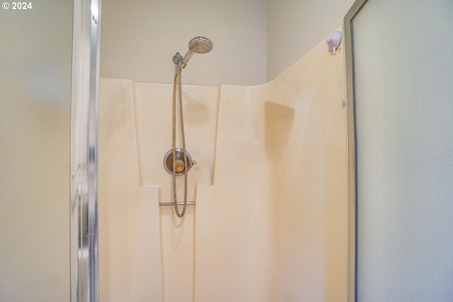 details with a shower with shower door