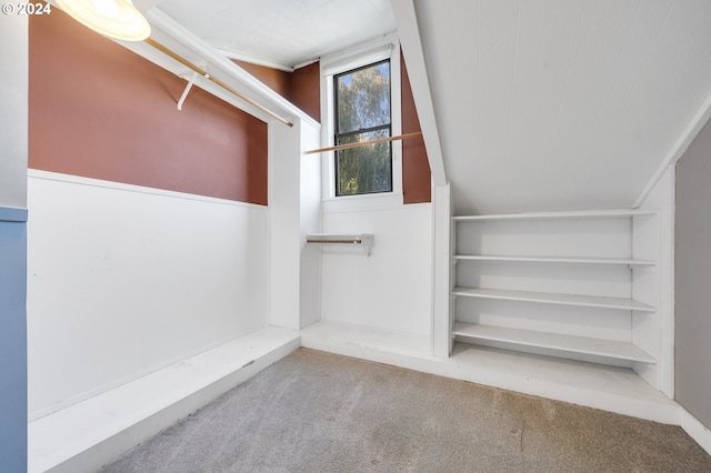 spacious closet with carpet floors and lofted ceiling