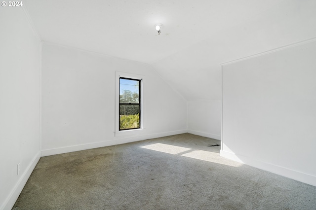 unfurnished room with vaulted ceiling and carpet floors