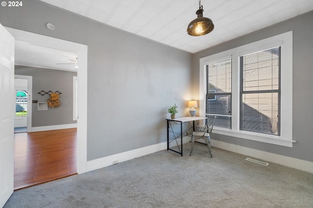 empty room featuring plenty of natural light, ceiling fan, and carpet floors