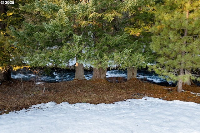 view of yard layered in snow