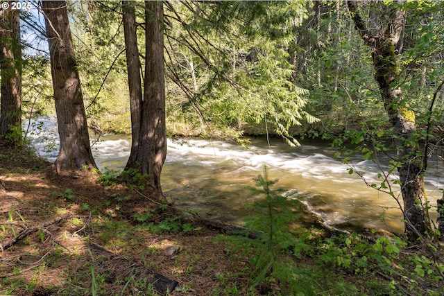 96 Mount Adams Rd, Trout Lake, WA 98650 - view of nature