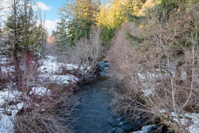 view of local wilderness