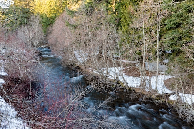 96 Mount Adams Rd, Trout Lake, WA 98650 - view of nature