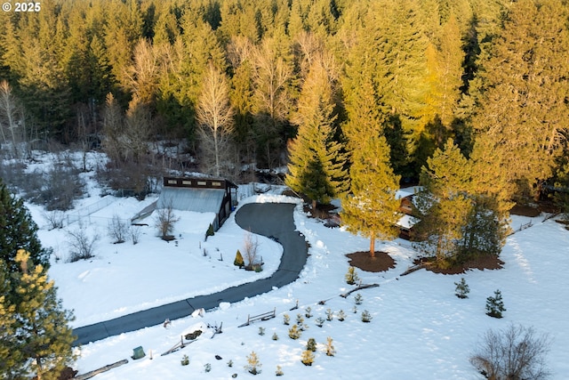 view of snowy aerial view