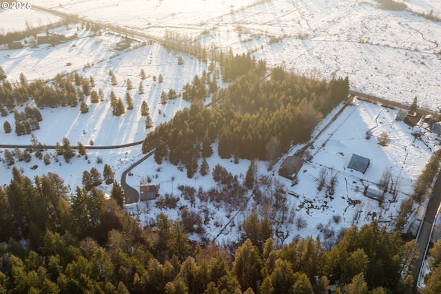 96 Mount Adams Rd, Trout Lake, WA 98650 - view of snowy aerial view