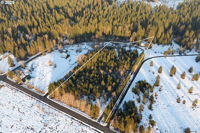 view of snowy aerial view