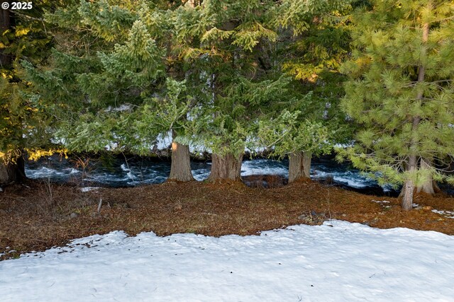 96 Mount Adams Rd, Trout Lake, WA 98650 - view of yard