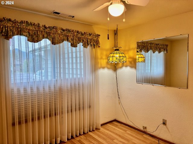 interior space with hardwood / wood-style floors, a wealth of natural light, and ceiling fan