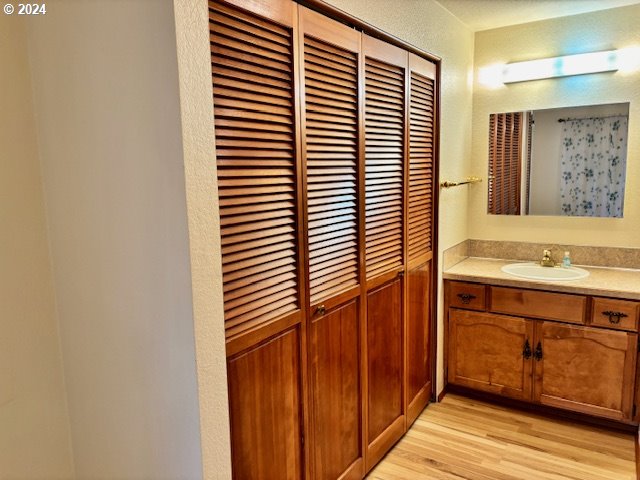 bathroom featuring vanity and wood-type flooring