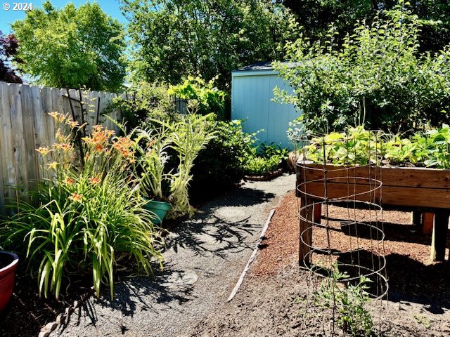 view of yard with a storage shed