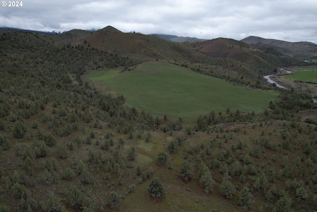 50889 Hwy 26, Mount Vernon, OR 97865 - view of mountain backdrop