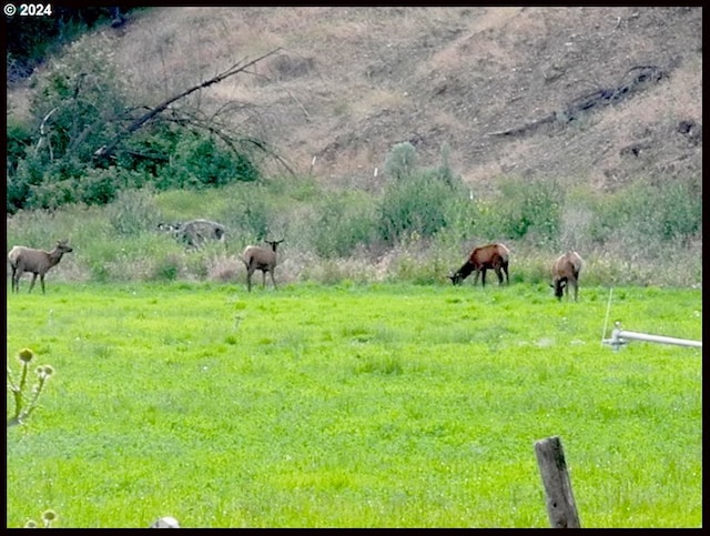50889 Hwy 26, Mount Vernon, OR 97865 - view of yard with a view of countryside