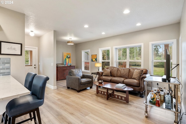 living room with light hardwood / wood-style flooring