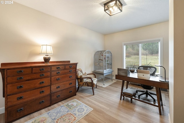 office with light hardwood / wood-style floors and a textured ceiling